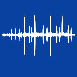 Speech Recognition Consultant